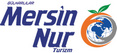 Mersin Nur Turizm